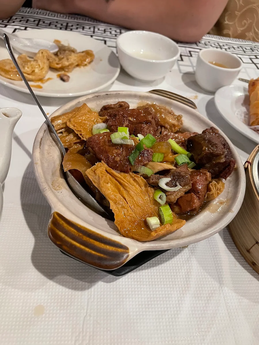 Braised Beef Brisket with Bean Curd Sticks in Casserole 枝竹牛腩煲